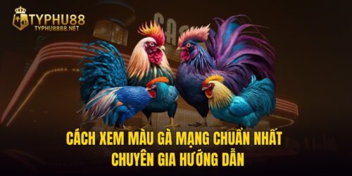 Cách Xem Màu Gà Mạng Chuẩn Nhất - Chuyên Gia Hướng Dẫn