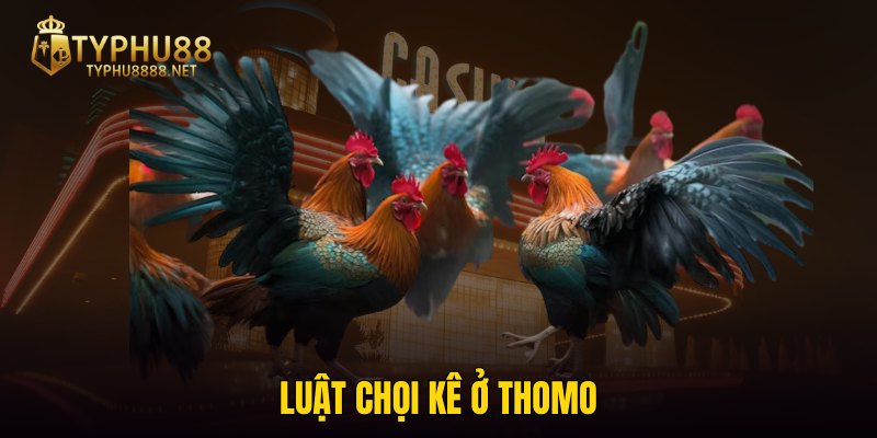 Luật chọi kê ở Thomo