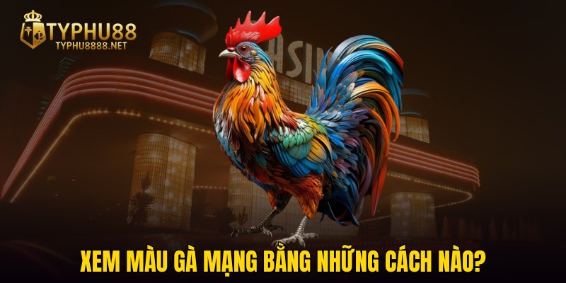 Xem màu gà mạng bằng những cách nào?