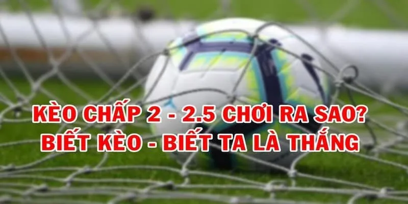 Kèo Chấp 2.5 – Cơ Hội Thắng Lớn Với Kèo Chấp Bóng Sâu Cách đọc kèo chấp 2 1/2 trong ví dụ cụ thể như thế nào?