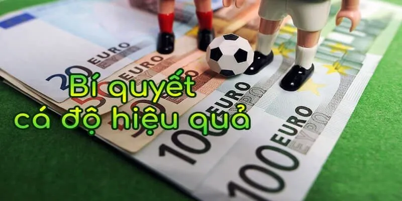 Kinh Nghiệm Cá Cược Bóng Đá Từ Cao Thủ Typhu88 Chiến thuật cá cược hiệu quả